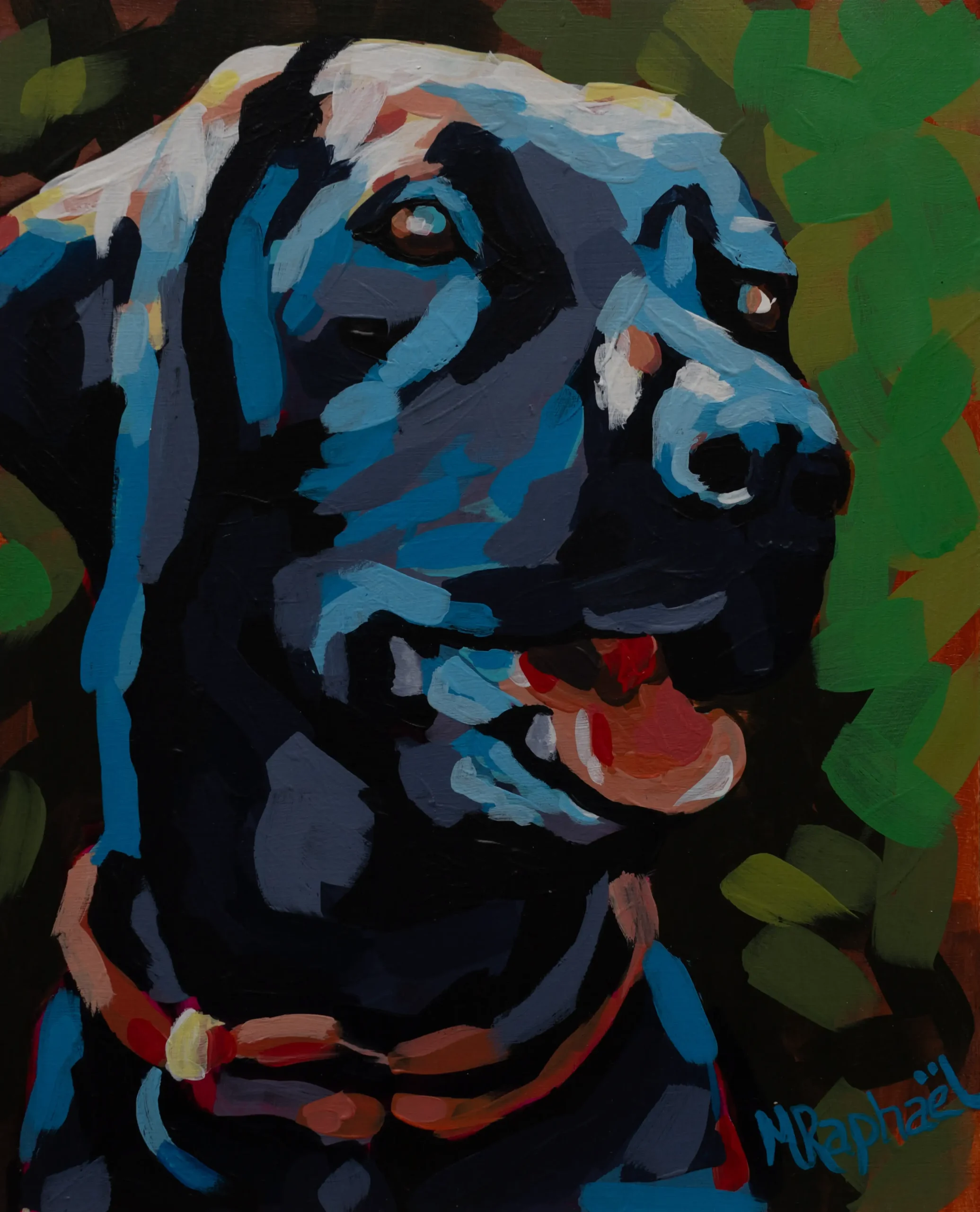 24-Labrador d'amour