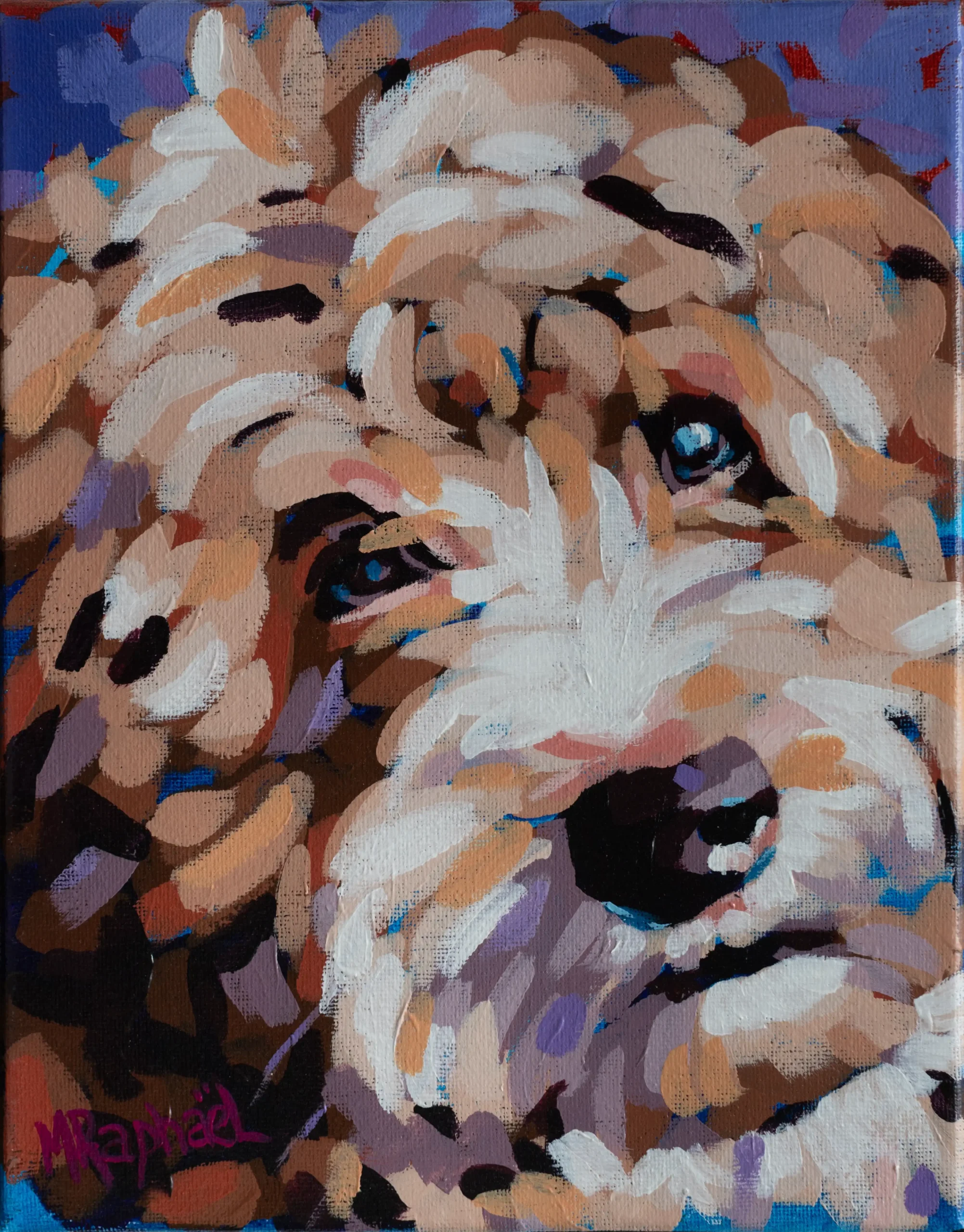 32-Golden doodle